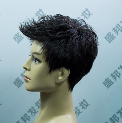 男士假发造型二