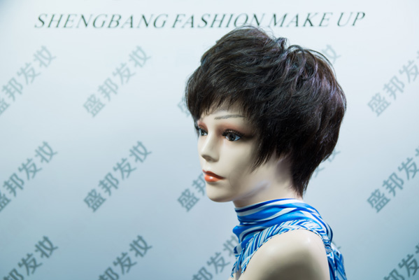女士假发造型三十一(图3)